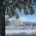 Hotell Elzland Pfauen Wellness & Elzach