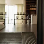 Elzland Pfauen Wellness & 4* الزاخ
