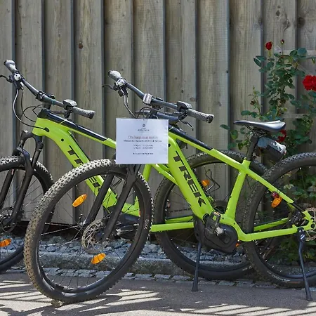 Hotel Elzland Pfauen Wellness & Elzach