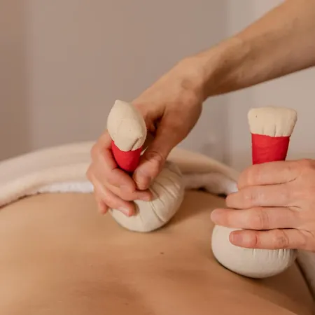 Hotel Elzland Pfauen Wellness & 4*