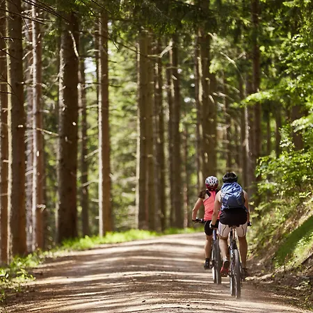 Hotel Elzland Pfauen Wellness &