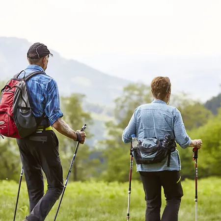 Elzland Pfauen Wellness & 4*