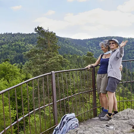 Hotel Elzland Pfauen Wellness &