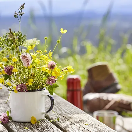 Elzland Pfauen Wellness & 4* Elzach