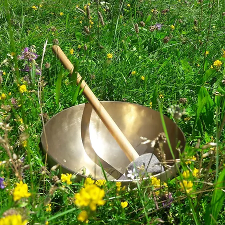 Elzland Pfauen Wellness & Hotel 4*