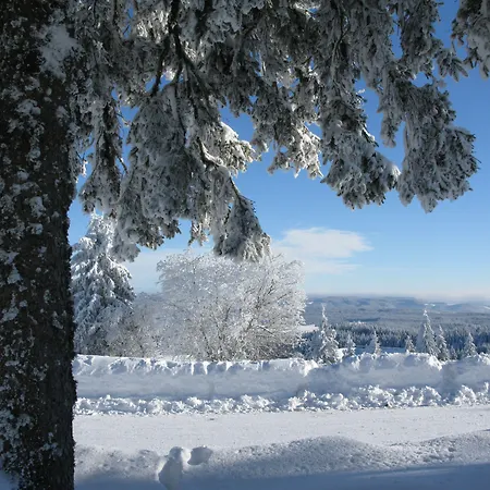 Hotel Elzland Pfauen Wellness & Elzach