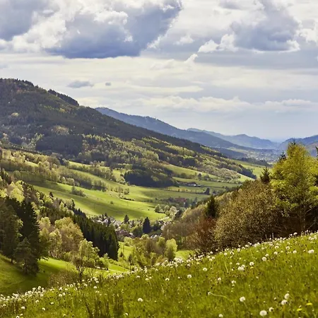 Elzland Pfauen Wellness & Hotell Elzach