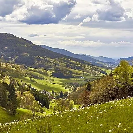 Elzland Pfauen Wellness & Elzach