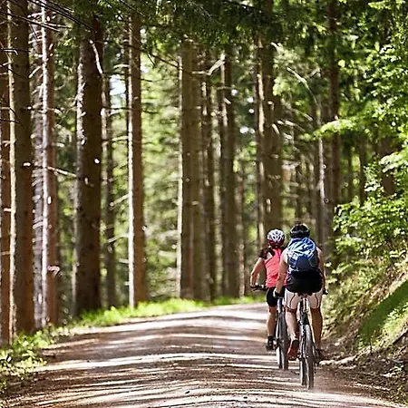 Ξενοδοχείο Elzland Pfauen Wellness & 4*