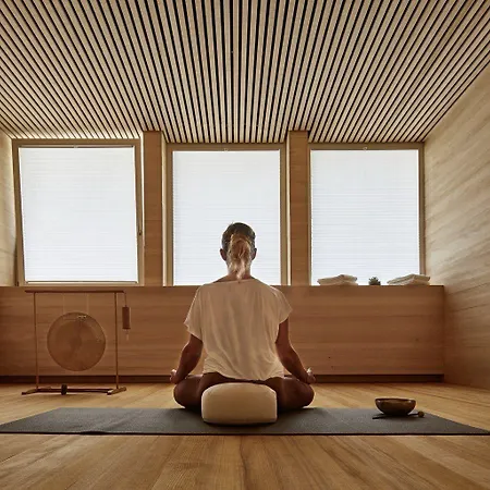 Elzland Pfauen Wellness & 4* Elzach