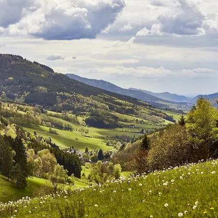 Elzland Pfauen Wellness & 4* Elzach