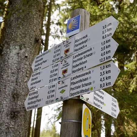 Elzland Pfauen Wellness & Ξενοδοχείο Elzach