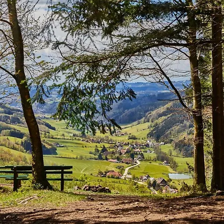 Elzland Pfauen Wellness & Hotel Elzach