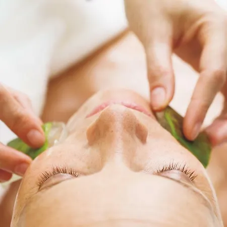 Elzland Pfauen Wellness, Spa&vitalis Elzach