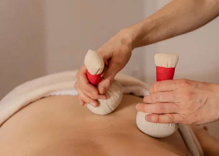 Hotel Elzland Pfauen Wellness & 4*