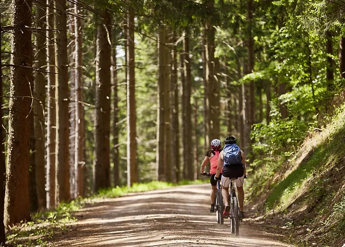 Hotel Elzland Pfauen Wellness &