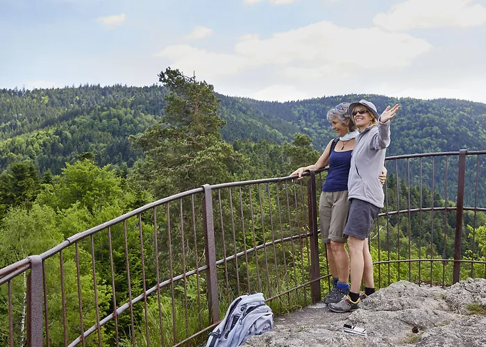 Hotel Elzland Pfauen Wellness &