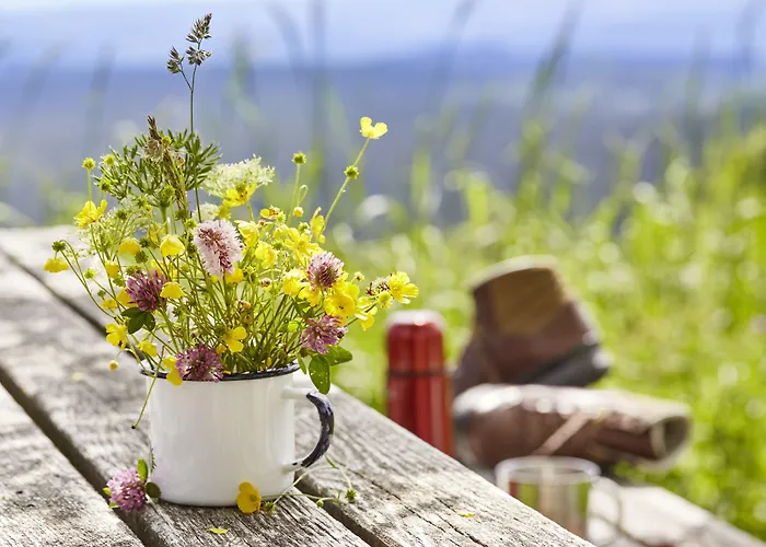 Elzland Pfauen Wellness & 4* Elzach