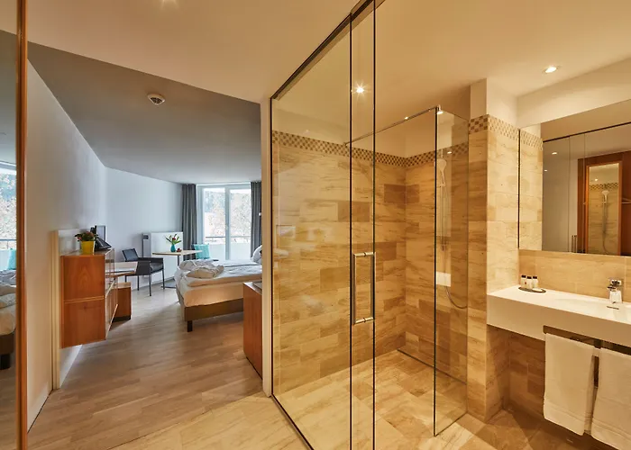 Elzland Pfauen Wellness & 4* Elzach