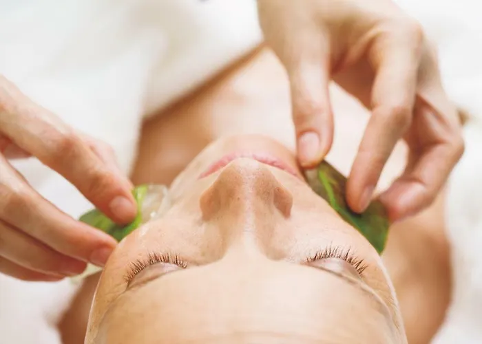 Elzland Pfauen Wellness & Elzach